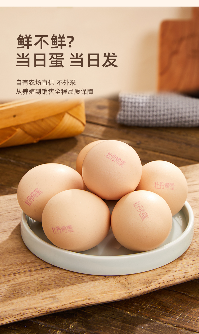 b0ad2dac871154a1f95f58c73a91f40.jpg
